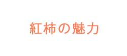 紅柿の魅力